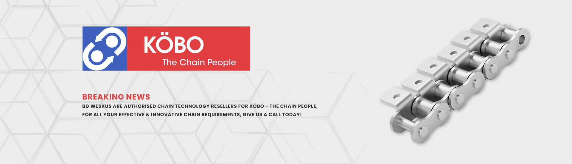 BD Weksus is a distributor of KOBO The Chain People