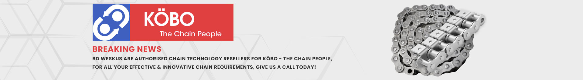 BD Weksus is a distributor of KOBO The Chain People