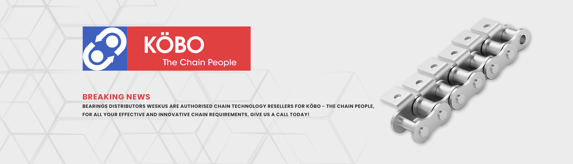 BD Weksus is a distributor of KOBO The Chain People
